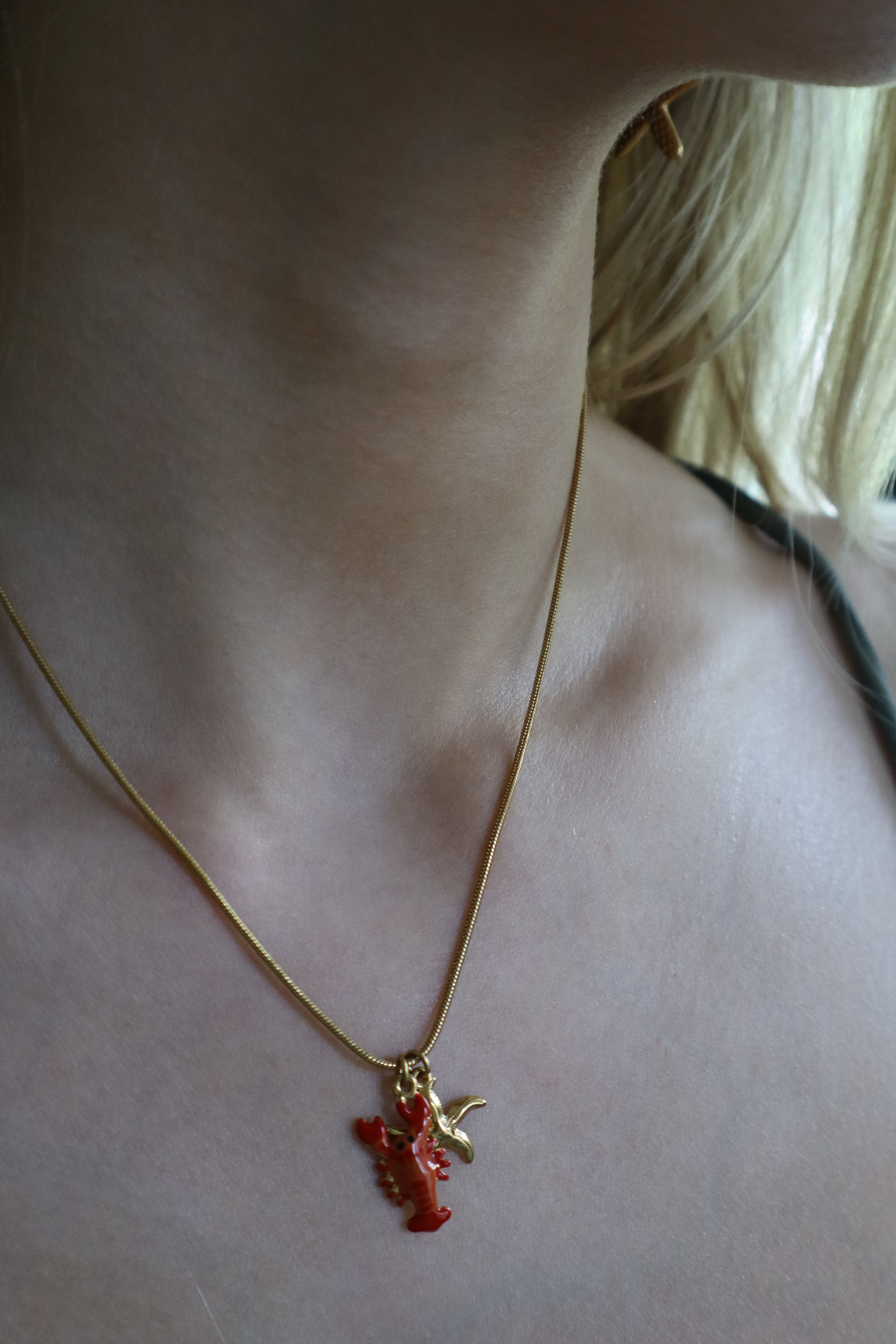 Ketting kreeft
